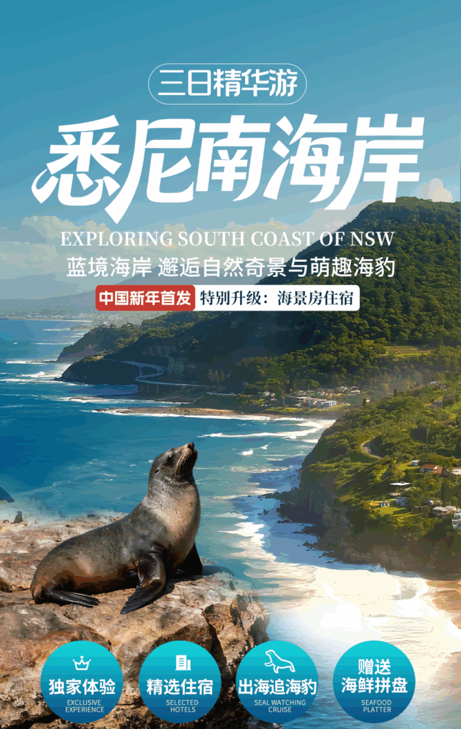 图片_20251212103540_183_113